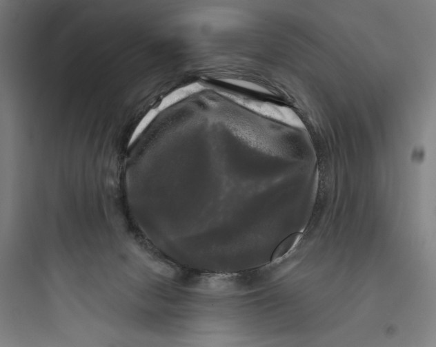 X0000093740078200711061034