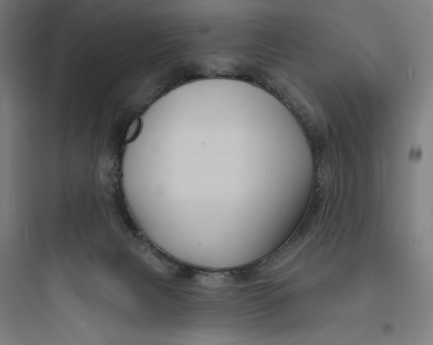 X0000093740079200711061034