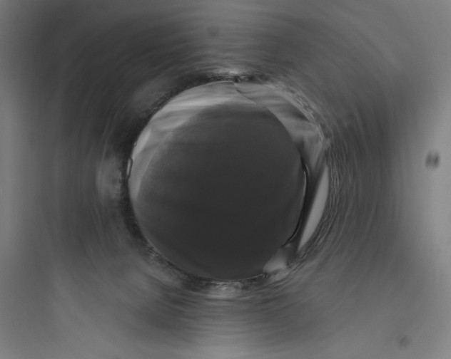 X0000093740080200711061034