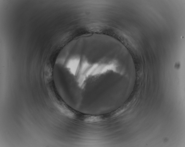 X0000093740081200711061034