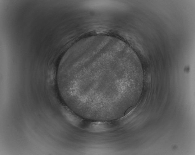 X0000093740082200711061034