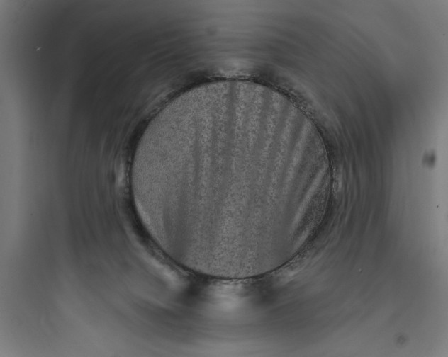 X0000093740084200711061034