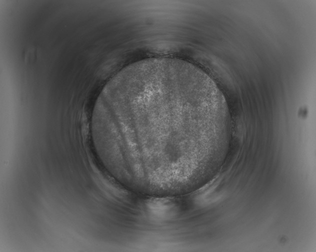 X0000093740086200711061034