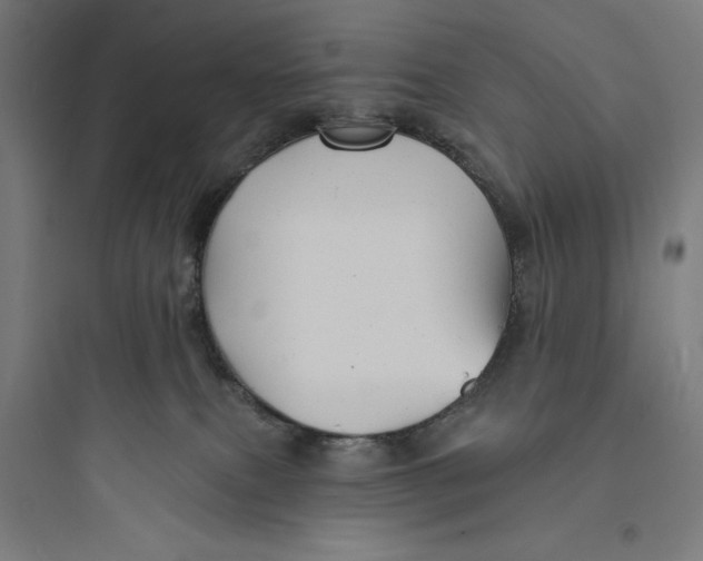 X0000093740087200711061034