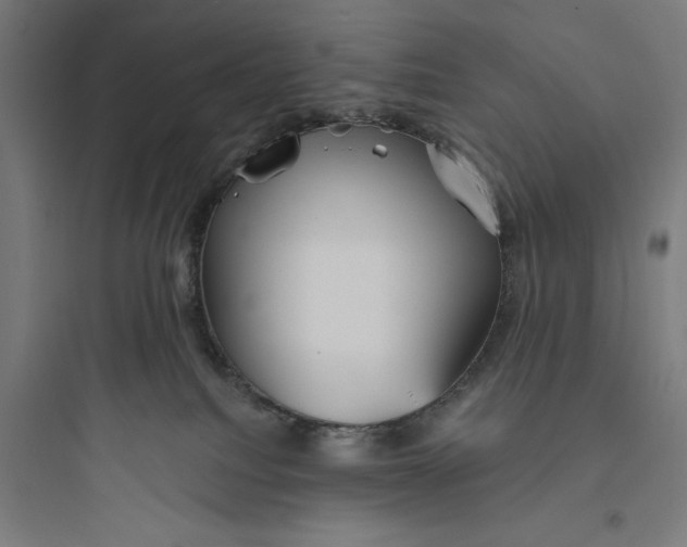 X0000093740088200711061034