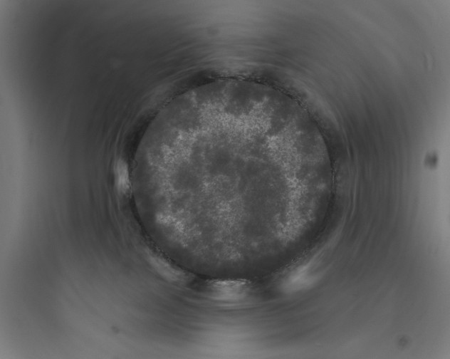 X0000093740089200711061034