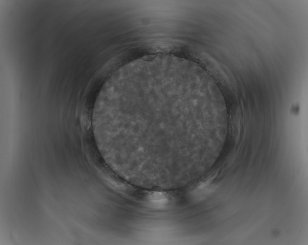 X0000093740091200711061034