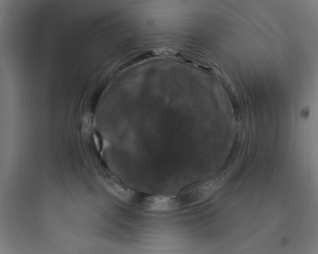 X0000093740093200711061034