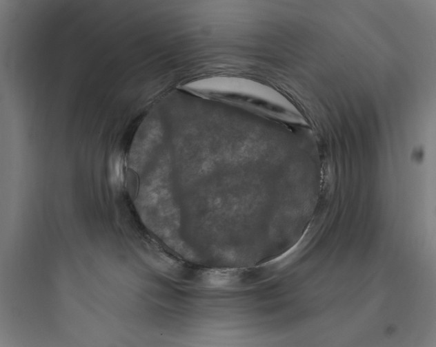 X0000093740094200711061034