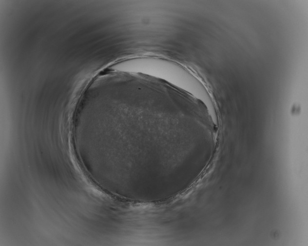 X0000093740097200711061034