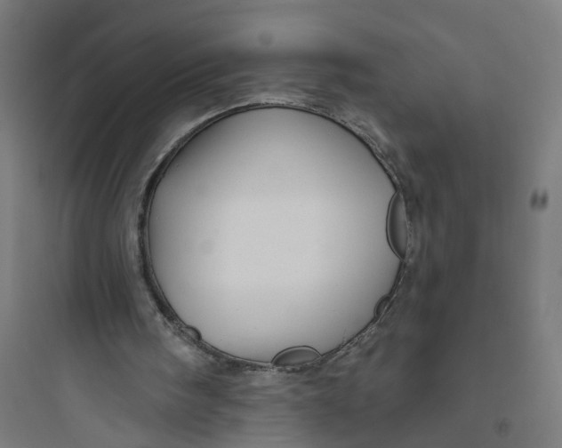 X0000093740098200711061034