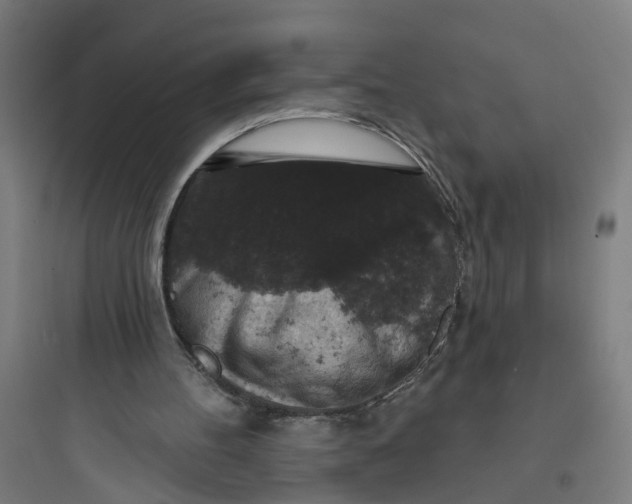 X0000093740100200711061034