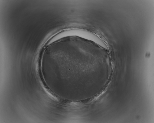 X0000093740101200711061034