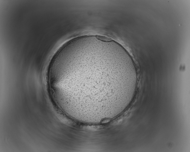 X0000093740103200711061034