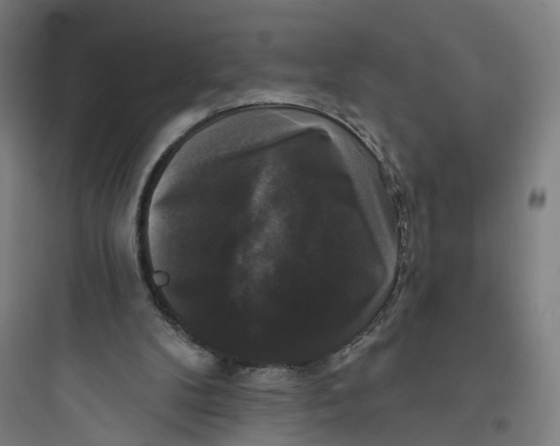 X0000093740104200711061034