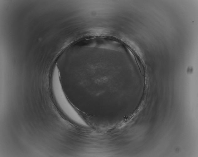 X0000093740105200711061034