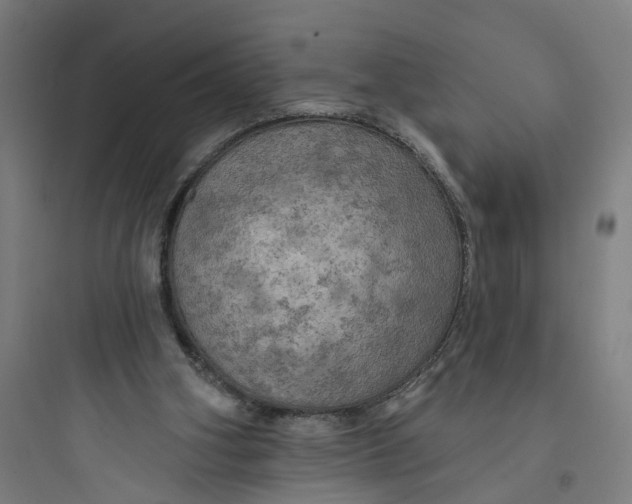 X0000093740106200711061034