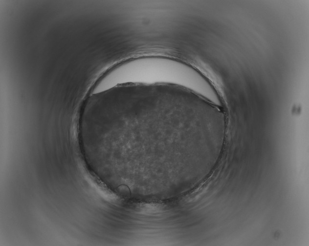 X0000093740107200711061034