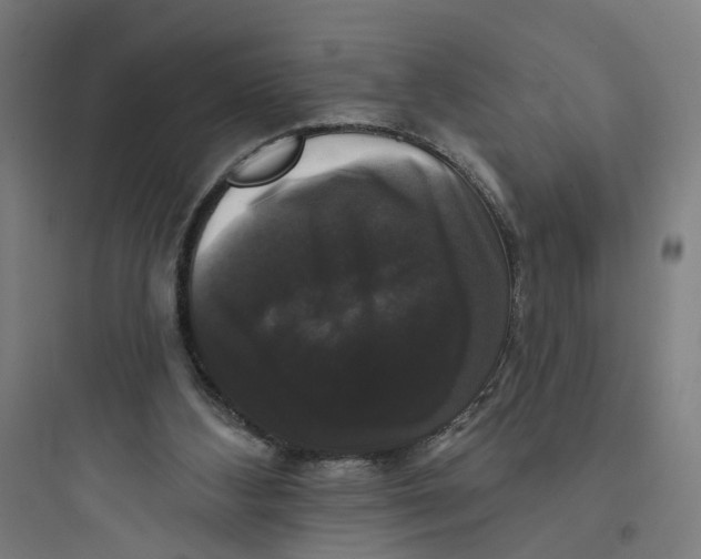 X0000093740108200711061034