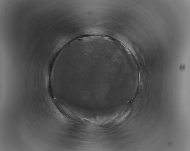 X0000093740109200711061034