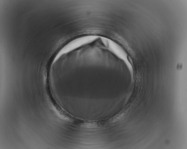 X0000093740110200711061034