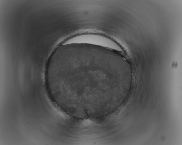 X0000093740111200711061034