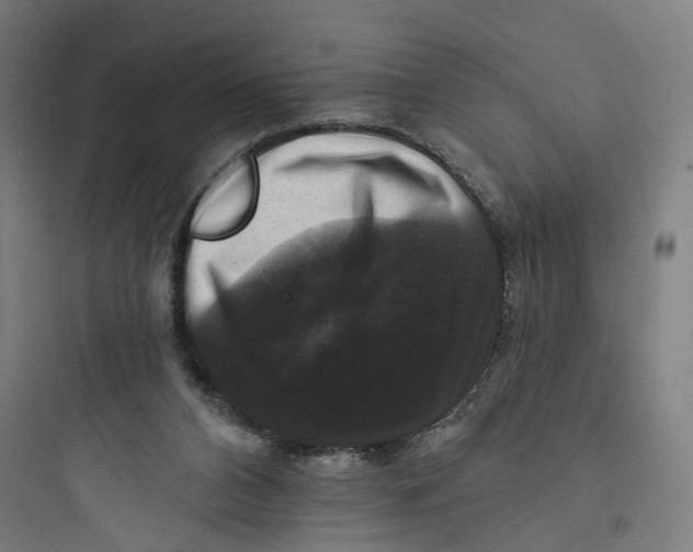 X0000093740112200711061034