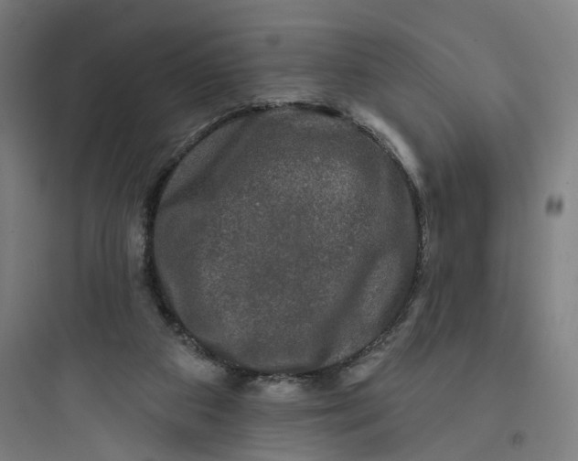 X0000093740113200711061034