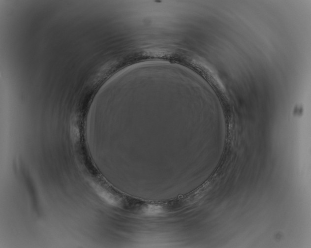 X0000093740114200711061033