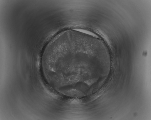 X0000093740115200711061033