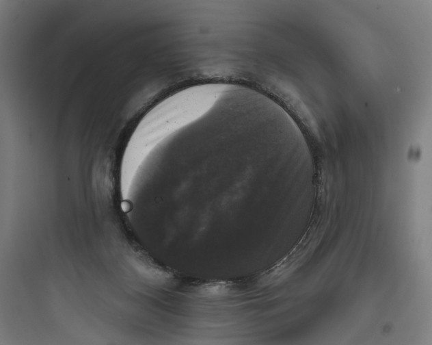 X0000093740116200711061033