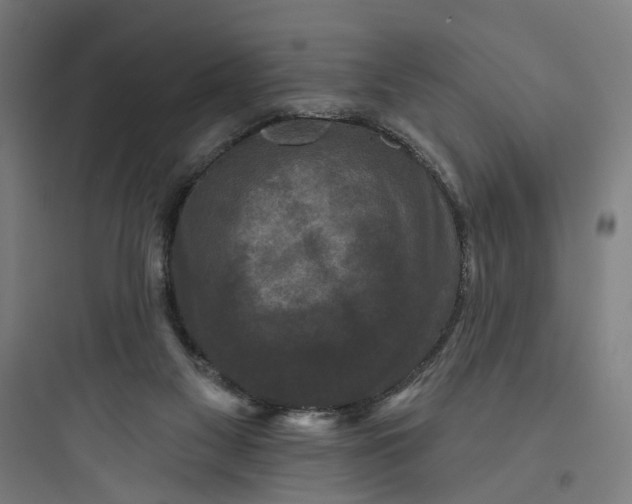 X0000093740117200711061033