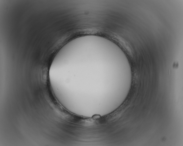 X0000093740118200711061033