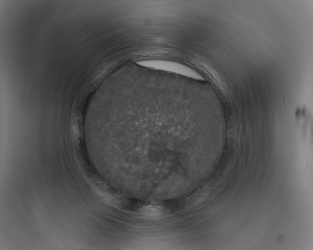 X0000093740119200711061033