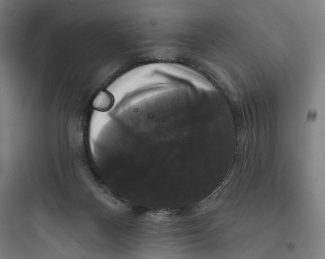 X0000093740120200711061033