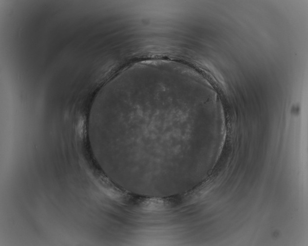 X0000093740123200711061033