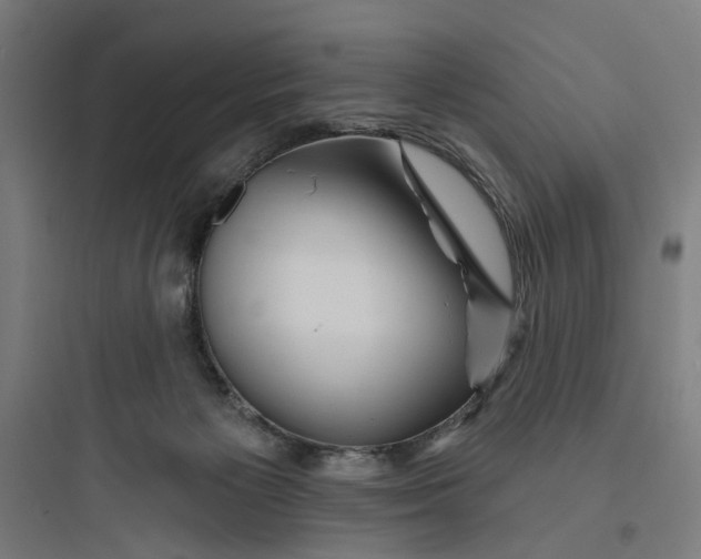 X0000093740125200711061033