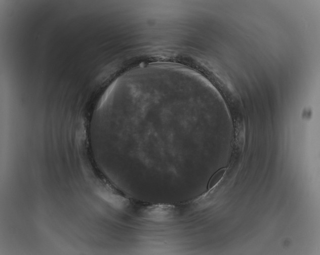 X0000093740128200711061033