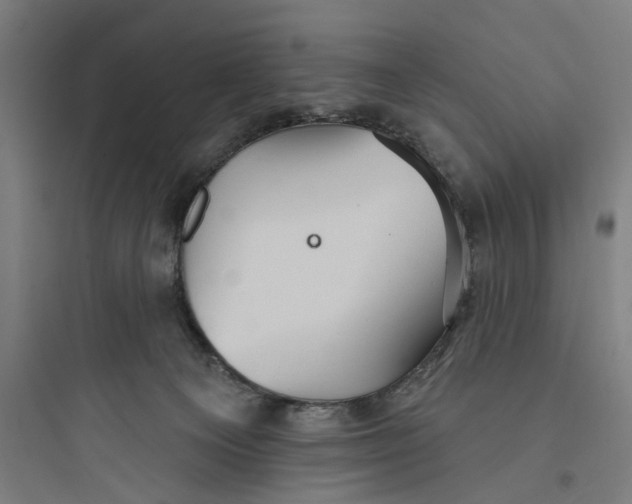 X0000093740129200711061033