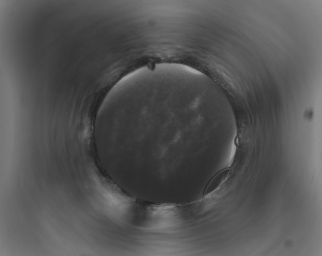 X0000093740132200711061033