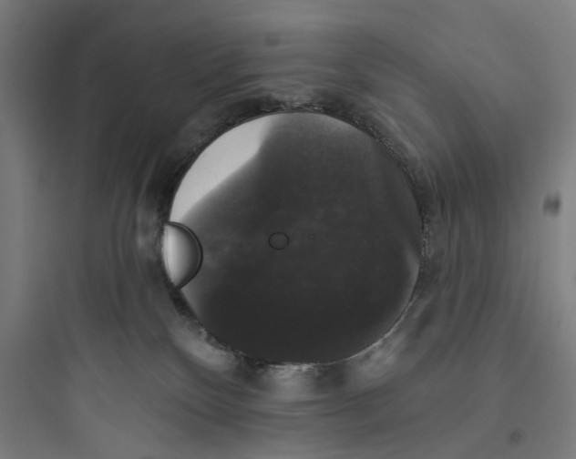 X0000093740136200711061033