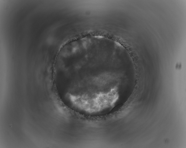 X0000093740144200711061033