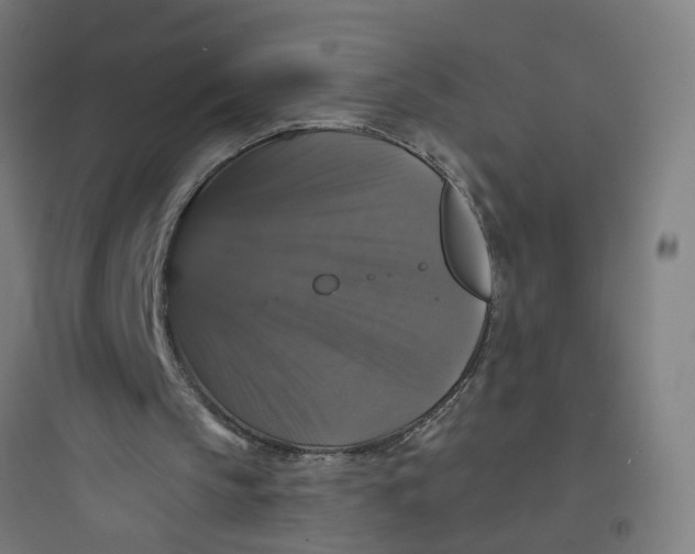 X0000093740145200711061032