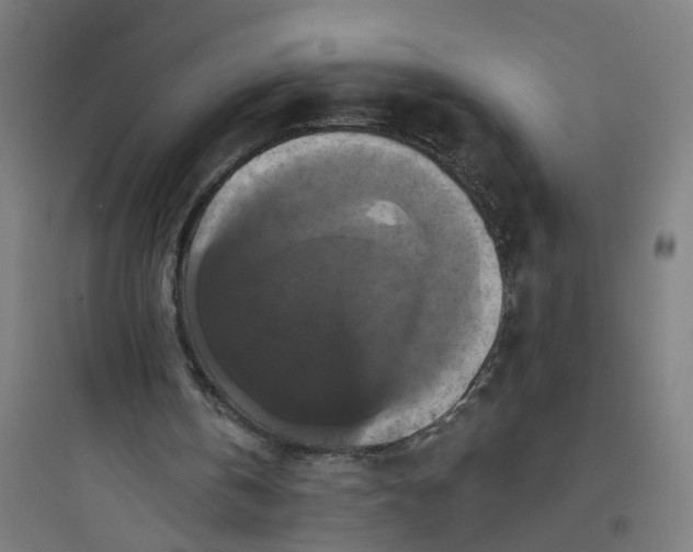 X0000093740146200711061032