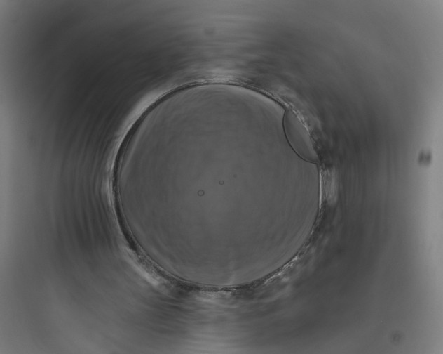 X0000093740147200711061032