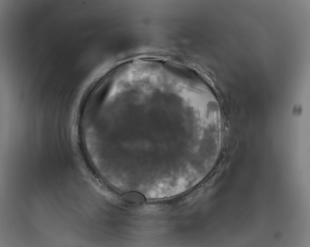 X0000093740149200711061032