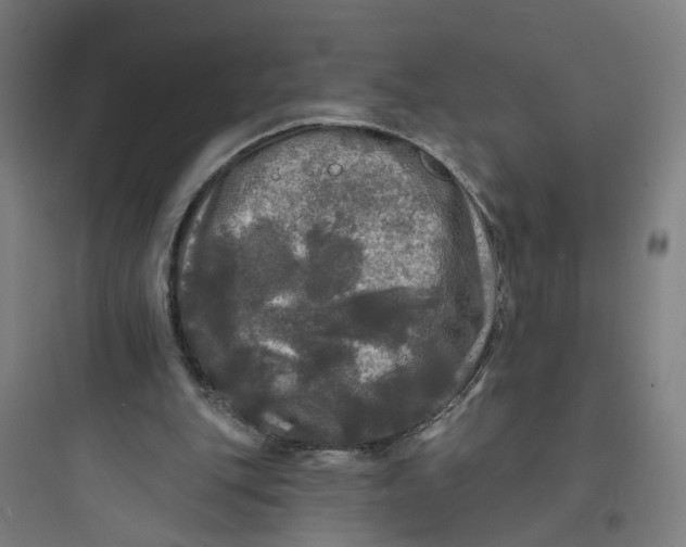 X0000093740151200711061032