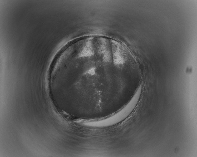 X0000093740152200711061032