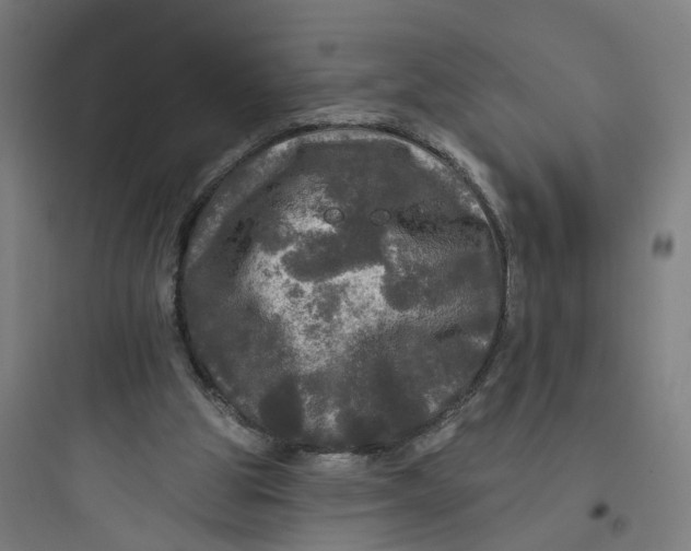 X0000093740153200711061032