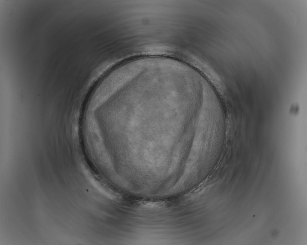 X0000093740155200711061032